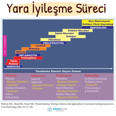 Flaster Bandın İyileşme Süreci